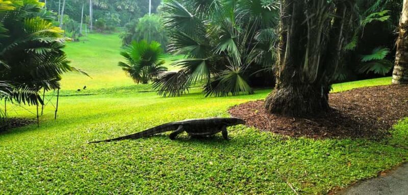 Singapore: Botanic Gardens & Tiong Bahru Walk w/Breakfast - A Close Look at the Tour Experience