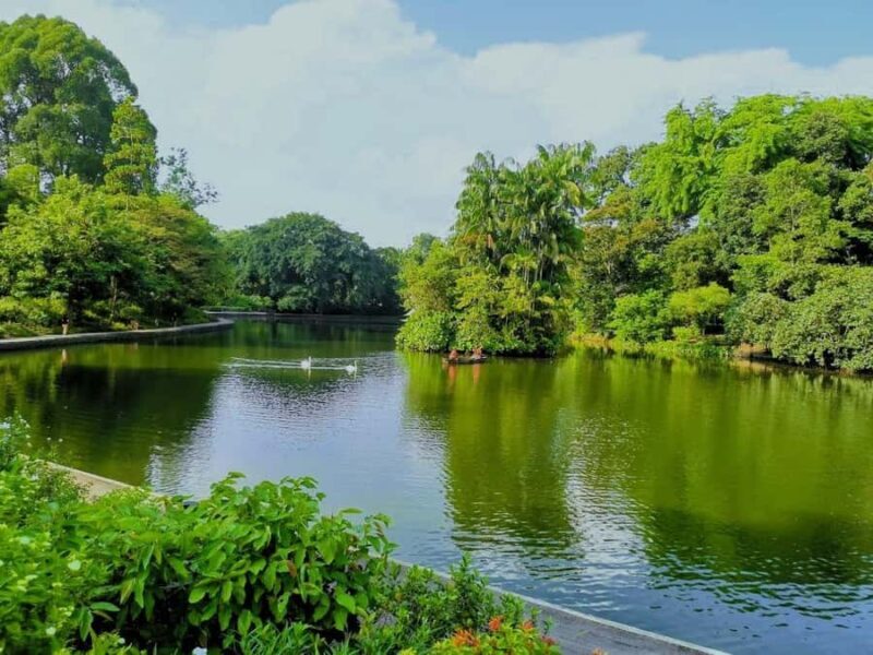 Singapore: Botanic Gardens & Tiong Bahru Walk w/Breakfast - Authentic Insights from Reviewers