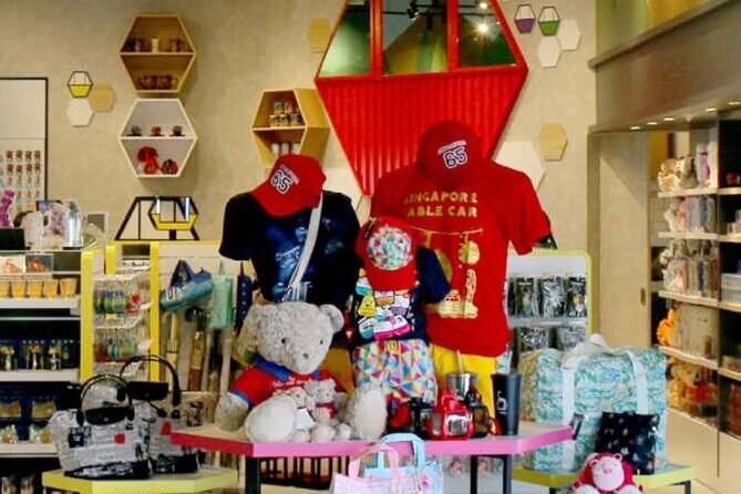 Singapore Cable Car Sky Pass - Who Should Consider This Experience