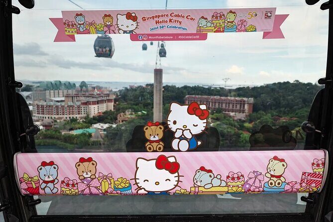 Singapore Cable Car Sky Pass Sentosa Aerial Experience - Who Would Love This Experience?