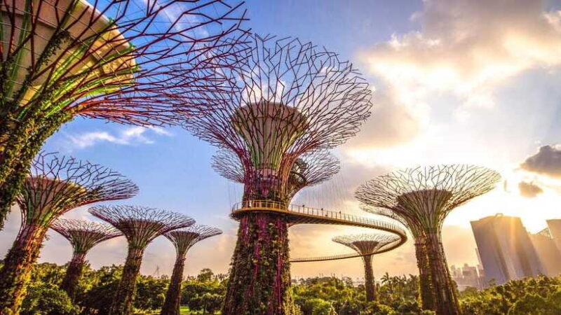 Singapore: City Tour & Jurassic World at Gardens by the Bay - Final Thoughts