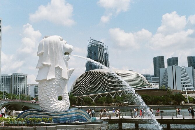Singapore Cruise Terminal to City Transfer - Meeting and Pickup Information