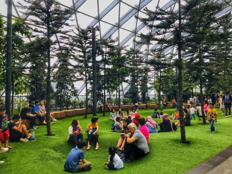 Singapore: Discover Jewel Changi Guided Tour - An Insider’s Look at the Singapore Jewel Changi Guided Tour