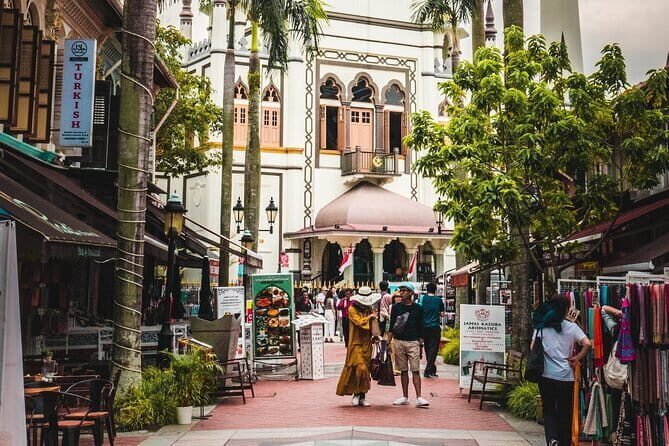 Singapore Flagship Cultural City Tour - Good To Know