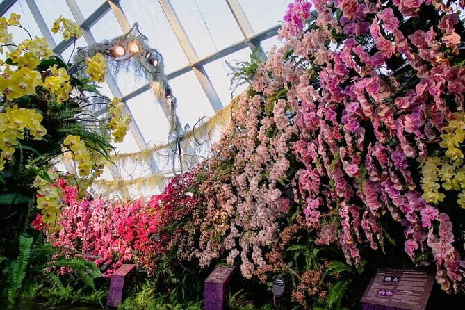 Singapore Flyer Tickets with Time Capsule - Who Will Love This Experience?