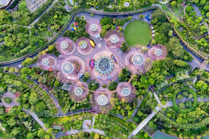 Singapore Gardens by the Bay 2.5-Hour Guided Tour - What the 2.5-hour Gardens by the Bay tour covers