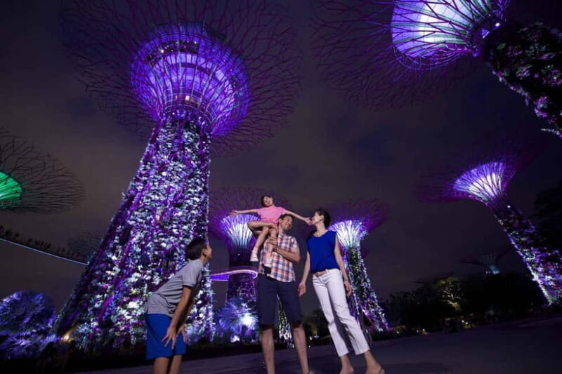 Singapore: Gardens by the Bay Accessible Guided Tour - A Detailed Look at the Gardens by the Bay Guided Tour