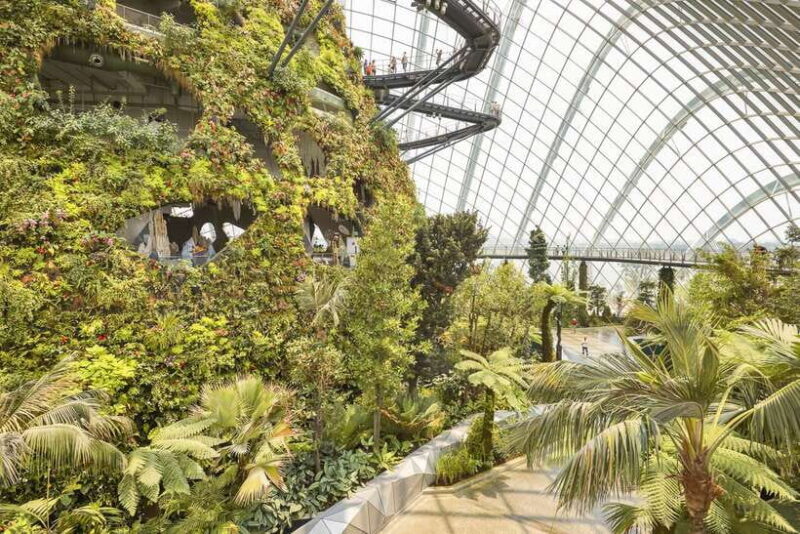 Singapore: Gardens by the Bay Admission E-Ticket - A Full Breakdown of Your Gardens by the Bay Experience