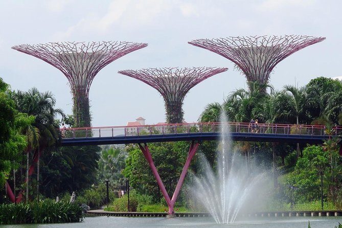 Singapore: Gardens by the Bay Admission E-Ticket - Pricing and Booking
