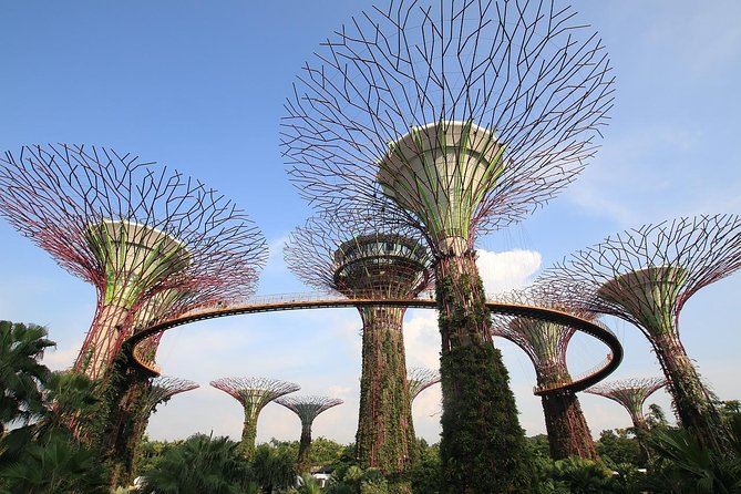 Singapore: Gardens by the Bay Admission E-Ticket - Overview and Attractions