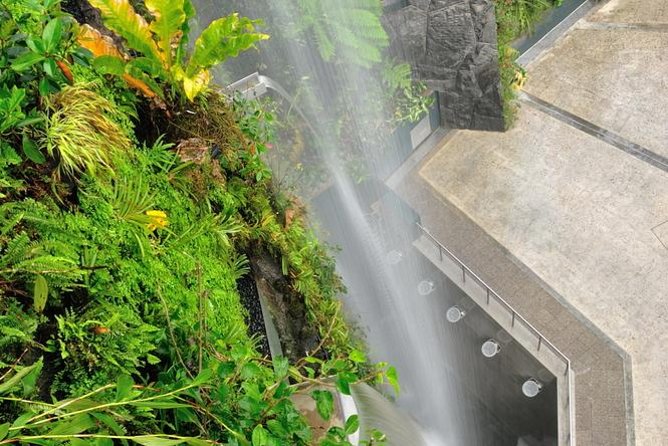 Singapore Gardens by the Bay Admission Ticket With Transfers - Overview of Gardens by the Bay