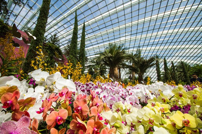 Singapore Gardens by the Bay Admission Ticket With Transfers - Common Questions