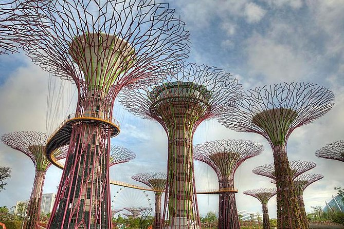 Singapore Gardens by the Bay Admission Ticket With Transfers - The Sum Up