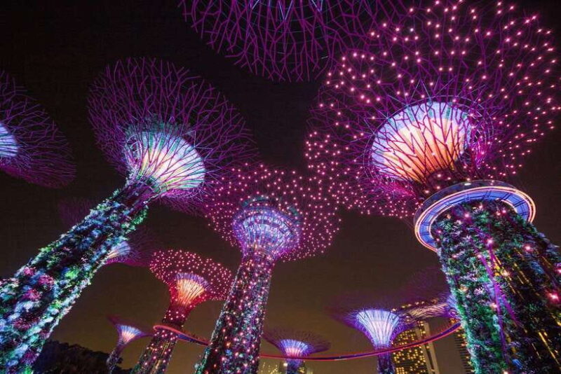 Singapore: Gardens by the Bay Bundle Entry Ticket - Good To Know