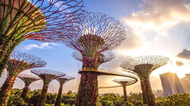 Singapore: Gardens by the Bay Bundle Entry Ticket - The Disney Garden of Wonder & Seasonal Exhibits