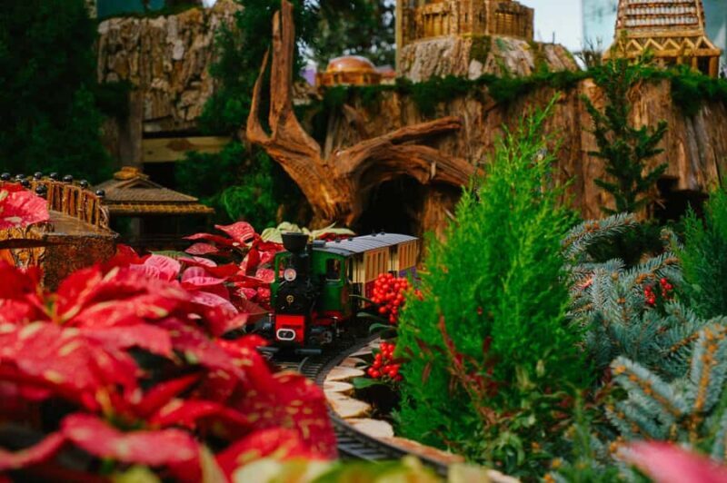 Singapore: Gardens by the Bay Entry Ticket Combo - Value for Money