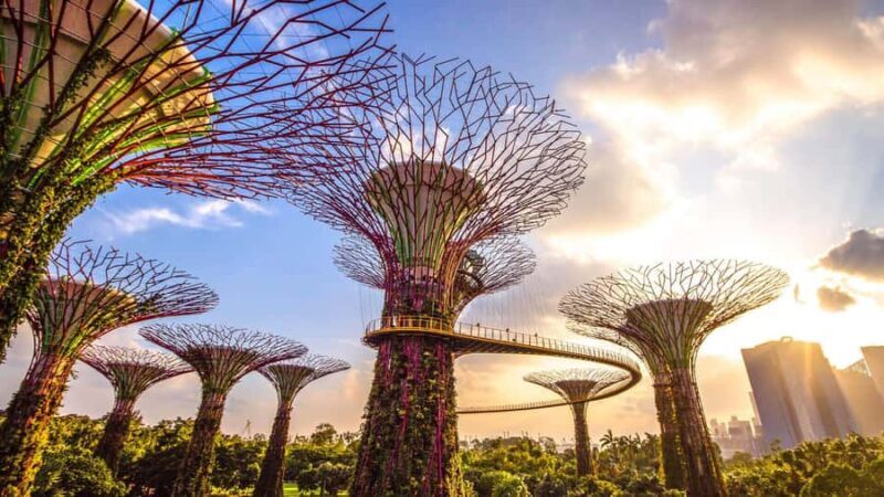 Singapore: Gardens by the Bay - Floral Fantasy - Review Insights & Unique Details