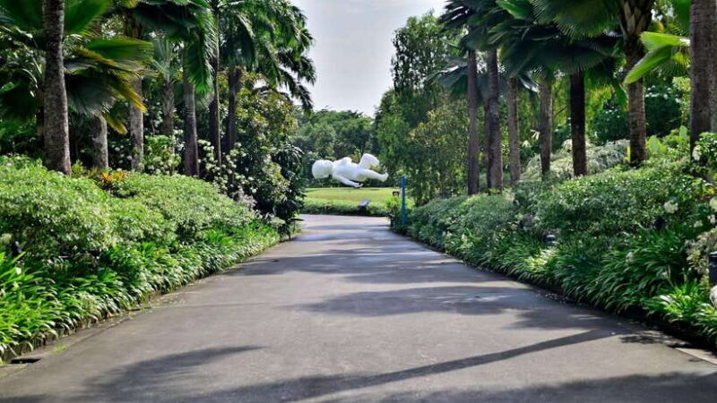 Singapore: Gardens by the Bay Guided Tour/Photography - Why This Tour Offers Great Value
