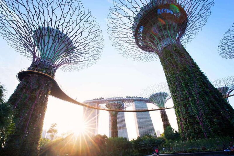 Singapore: Gardens by the Bay Guided Tour - The Itinerary Breakdown: What to Expect
