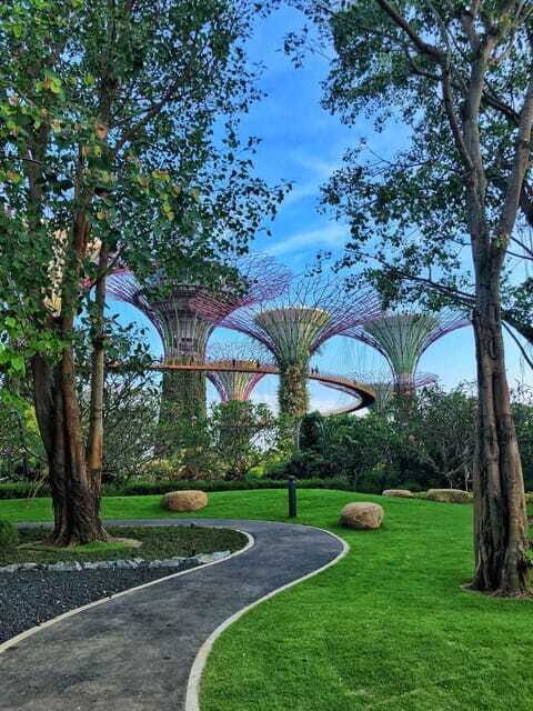 Singapore: Gardens by the Bay Guided Tour - Who Should Consider This Tour?