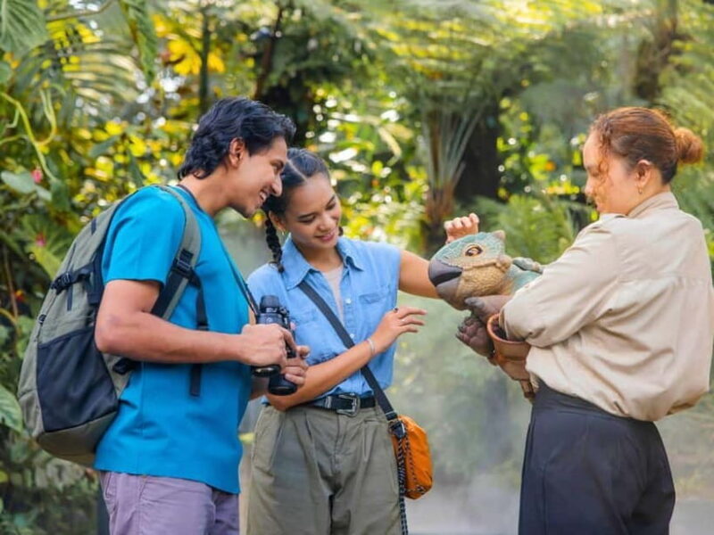 Singapore: Gardens by the Bay & Jurassic World with Pickup - An In-Depth Look at the Tour Experience