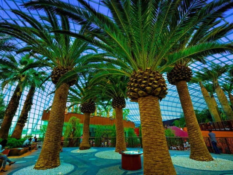 Singapore: Gardens by the Bay & Jurassic World with Pickup - The Sum Up