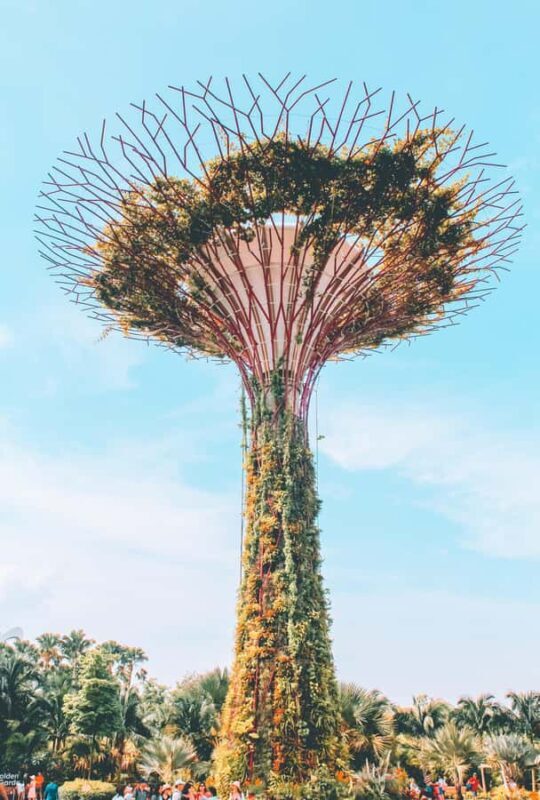 Singapore: Gardens by the Bay & Sustainable Landmarks Tour - An Introduction to Singapore’s Green Journey