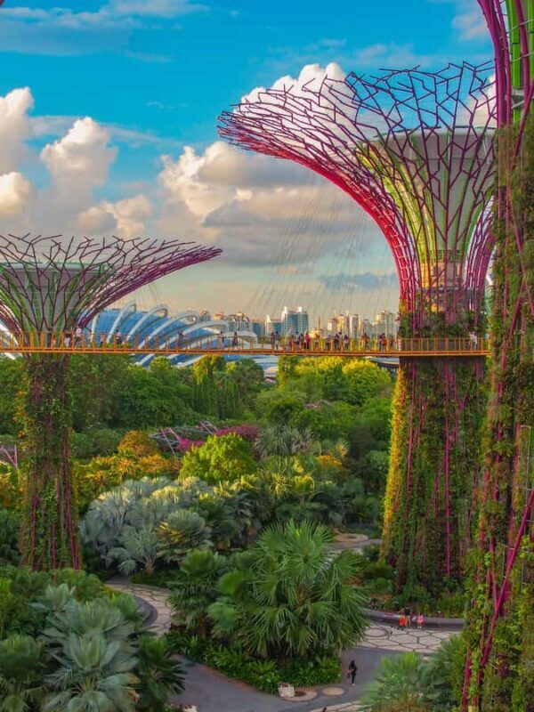 Singapore: Gardens by the Bay & Sustainable Landmarks Tour - Authentic Experiences and Practical Insights