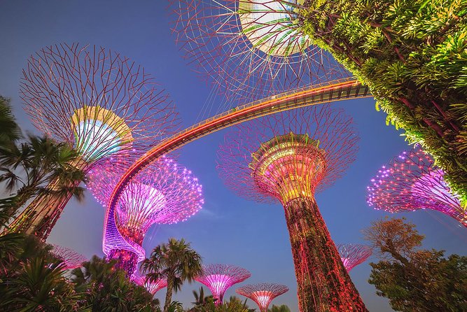 Singapore Gardens by the Bay Tickets & Transfer - Pickup and Drop-off Details