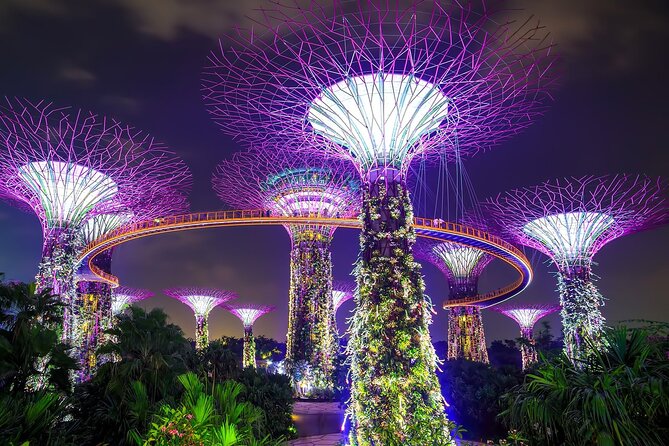 Singapore Gardens by the Bay Tickets & Transfer - Super Tree Light Show and Winter Wonderland