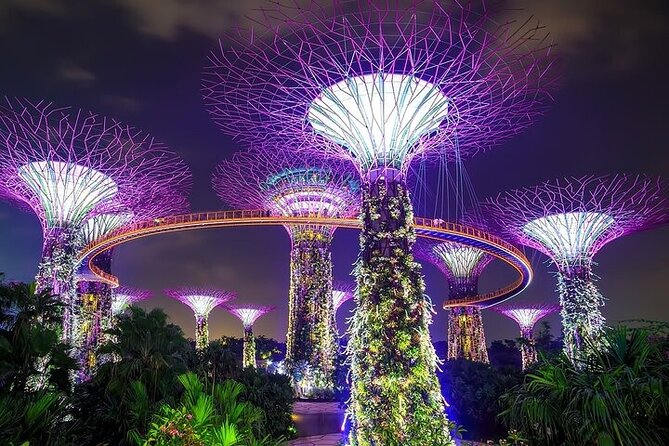 Singapore Gardens by the Bay Tours With Transfer - Traveler Photos and Reviews