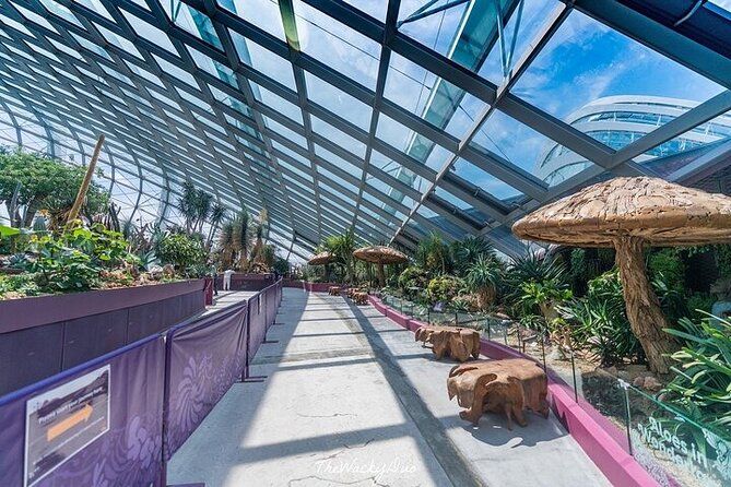 Singapore Gardens by the Bay Tours With Transfer - Customer Reviews