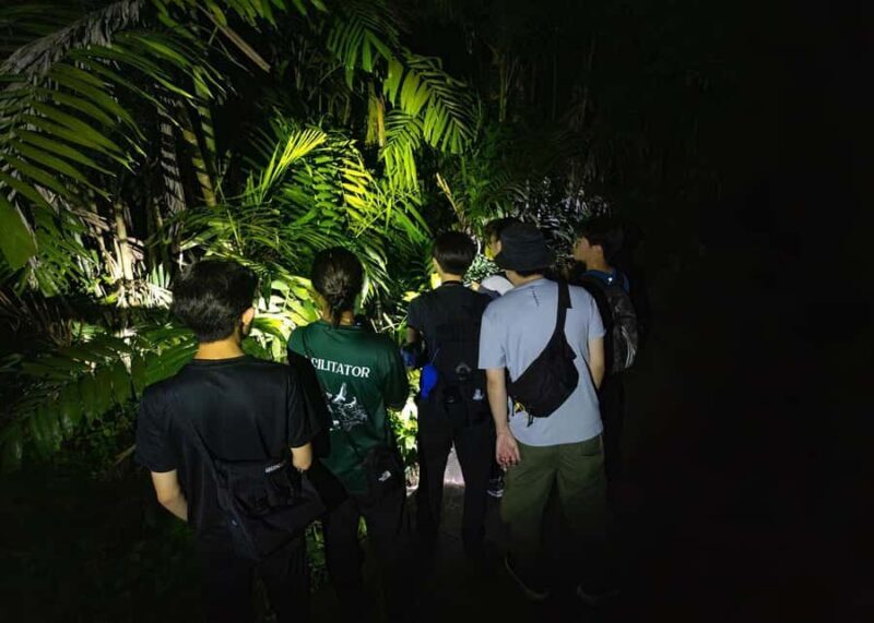 Singapore: Gliding Colugos & Wildlife, Night Nature Tour - FAQ