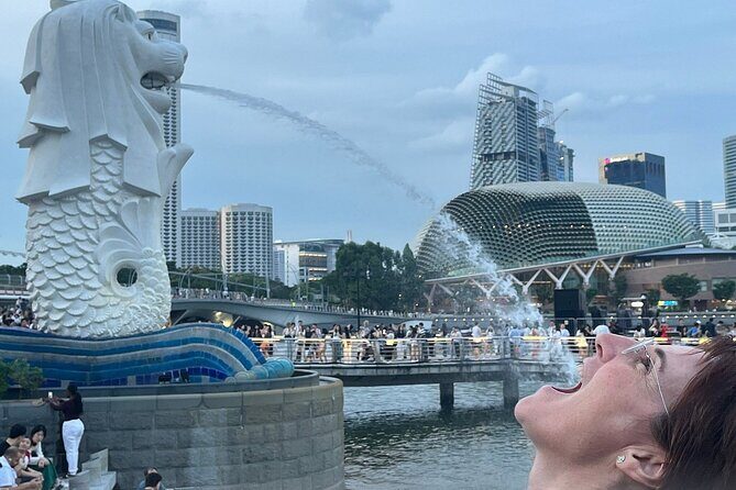 Singapore Guided Night Tour with 2 Light Shows & River Cruise - Gardens by the Bay Light Show: A Dazzling Display