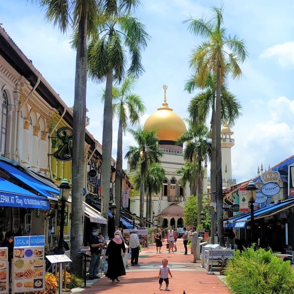 Singapore Half-Day City Highlights Tour - A heritage walk, not a full Singapore city tour