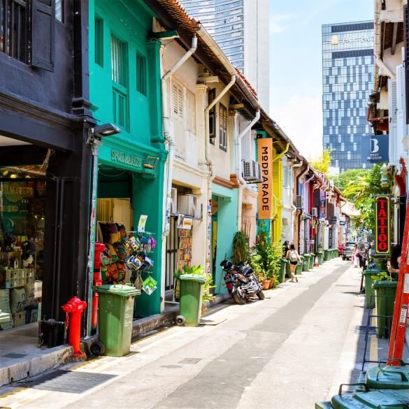 Singapore Half-Day City Highlights Tour - Sultan Mosque as a landmark