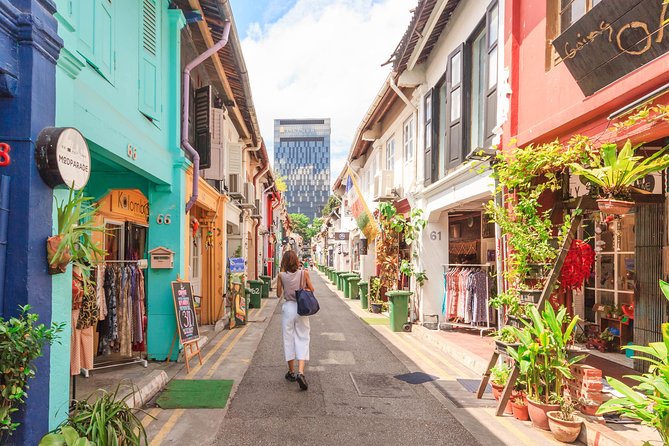 Singapore Half Day Tours by Locals: Private, See the City Unscripted - Additional Information and Pricing