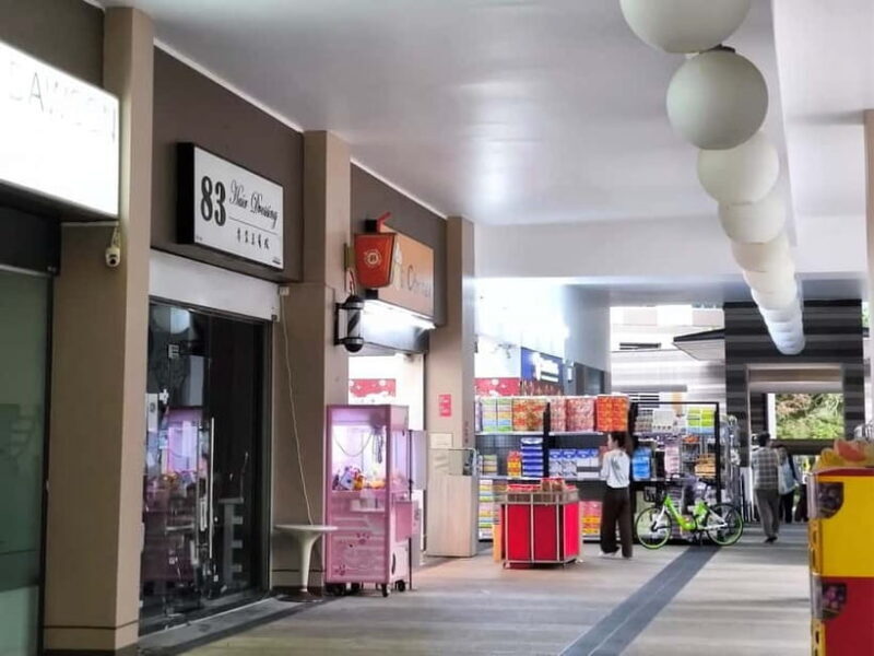 Singapore: HDB Public Housing & Communities Guided Tour - Practical Details & What to Expect