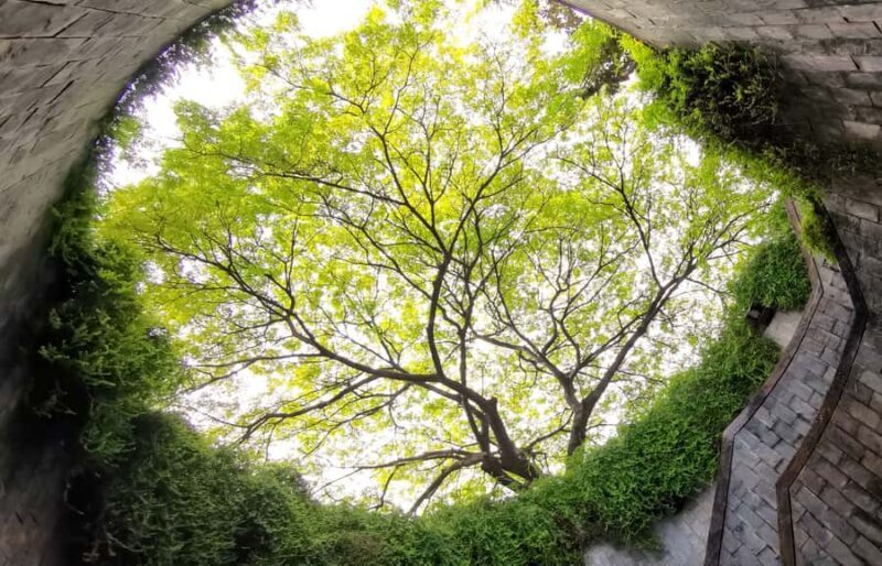 Singapore: Hidden Gems Kick Scooter Tour w/Dinner - Good To Know