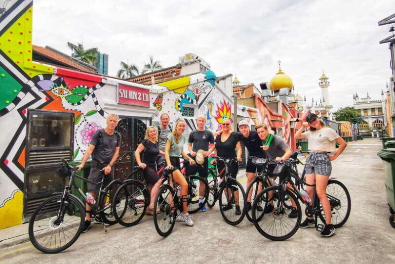 Singapore: Historical Half-Day Bike Tour - Who Should Consider This Tour?