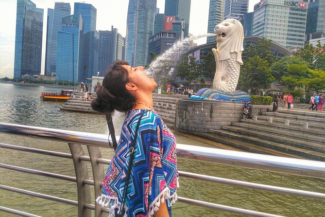 Singapore Instagram Tour By Car (Private & All-Inclusive) - Tour Details