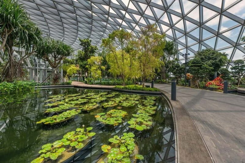 Singapore: Jewel Changi Airport Attraction Ticket - Who Should Consider This Experience?