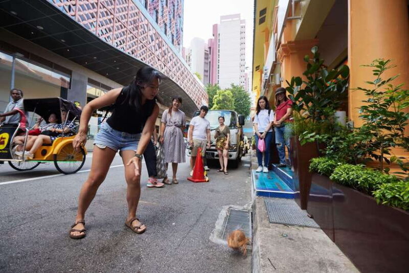 Singapore: Little India Culture and Food Experiential Tour - Final Thoughts