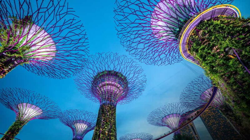 Singapore Marina Bay Night Walk with Spectra & Rhapsody Show - Who Is This Tour Best Suited For?
