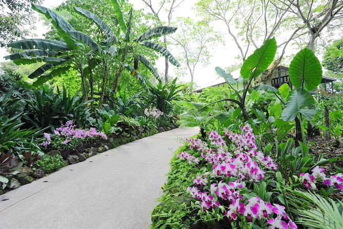 Singapore Morning City Tour - Pricing