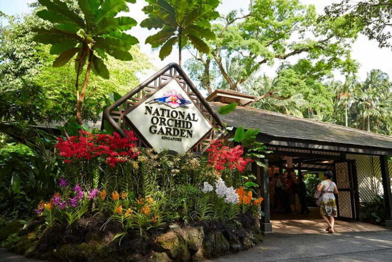Singapore: National Orchid Garden Admission - Introduction: Why the National Orchid Garden is a Must-Visit