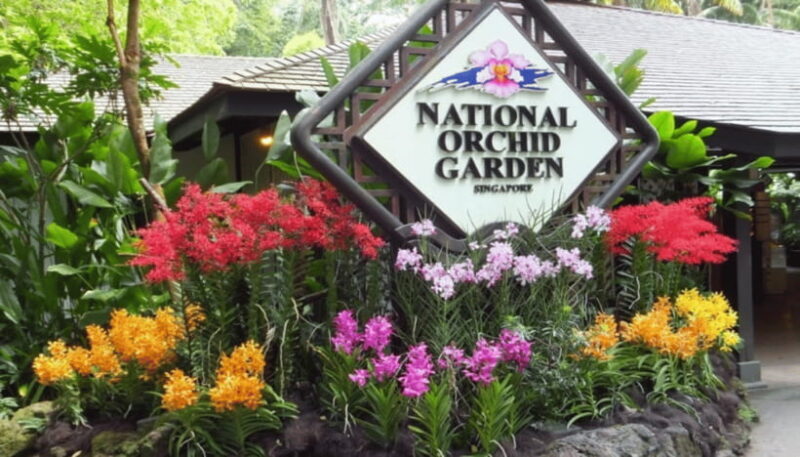 Singapore: National Orchid Garden Admission - The Experience: Authentic Thoughts from Visitors