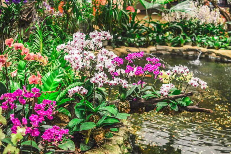 Singapore: National Orchid Garden Admission - The Sum Up: Who Should Visit?