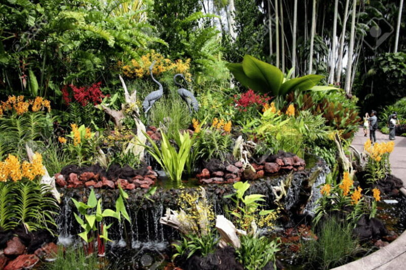 Singapore: National Orchid Garden Admission - FAQ