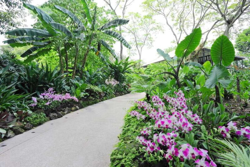 Singapore: National Orchid Garden Entry Tickets - Why This Tour Offers Great Value